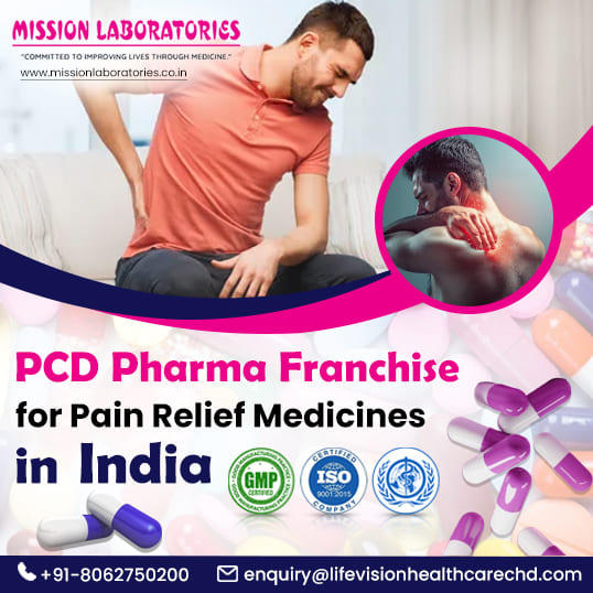 Painkiller Medicines PCD Pharma Franchise